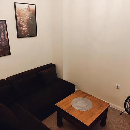Bocianowka Z Sauna I Fotelem Masujacym W Cenie * Ustroń