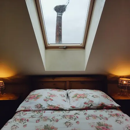 Bocianowka Z Sauna I Fotelem Masujacym W Cenie *