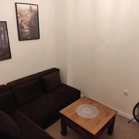 Bocianowka Z Sauna I Fotelem Masujacym W Cenie * Ustron