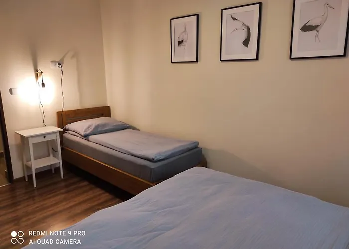 홈스테이 Bocianowka Z Sauna I Fotelem Masujacym W Cenie