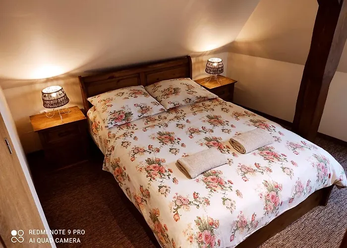 Bocianowka Z Sauna I Fotelem Masujacym W Cenie 우스트론