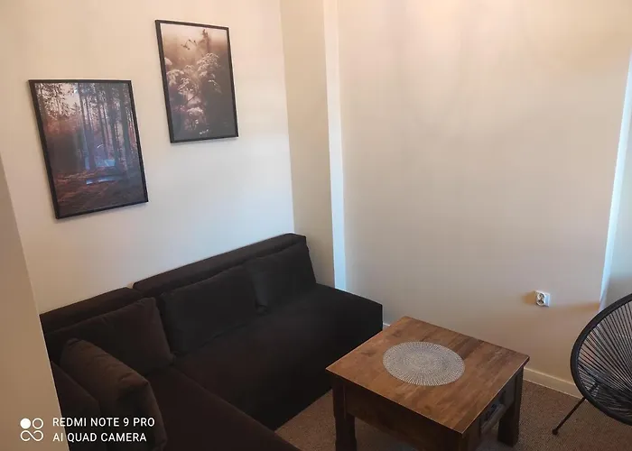 Bocianowka Z Sauna I Fotelem Masujacym W Cenie 홈스테이 *