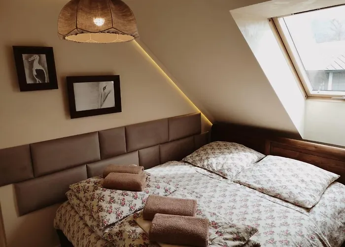 Bocianowka Z Sauna I Fotelem Masujacym W Cenie 홈스테이