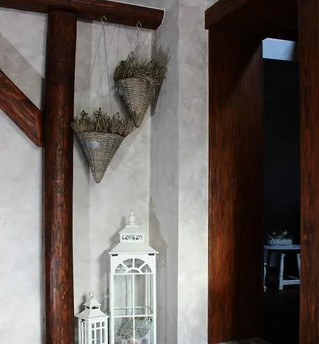 홈스테이 Bocianowka Z Sauna I Fotelem Masujacym W Cenie 우스트론